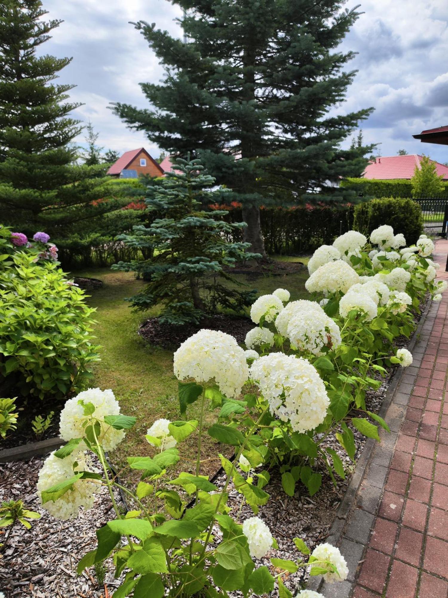 Michalek W Rowach Bed & Breakfast Rowy  Exterior photo